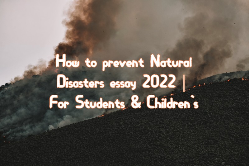 How to prevent Natural Disasters essay