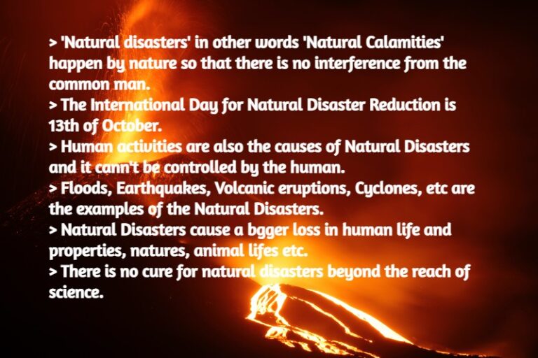 prevent natural disasters essay