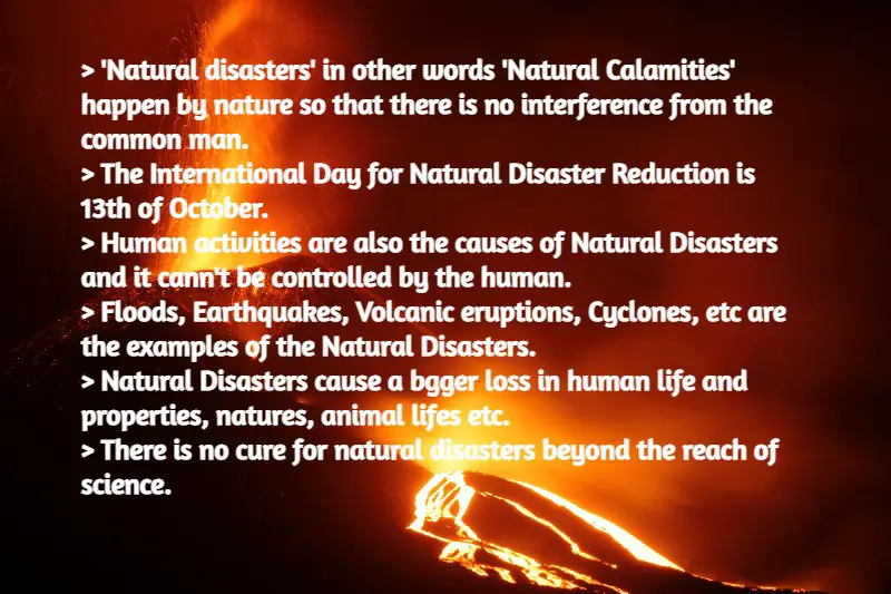 How to prevent Natural Disasters essay
