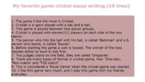 essay on cricket 500 words
