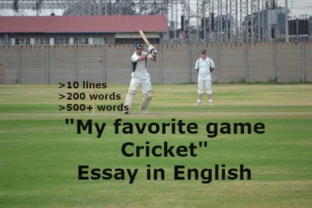 My favorite game cricket essay in English