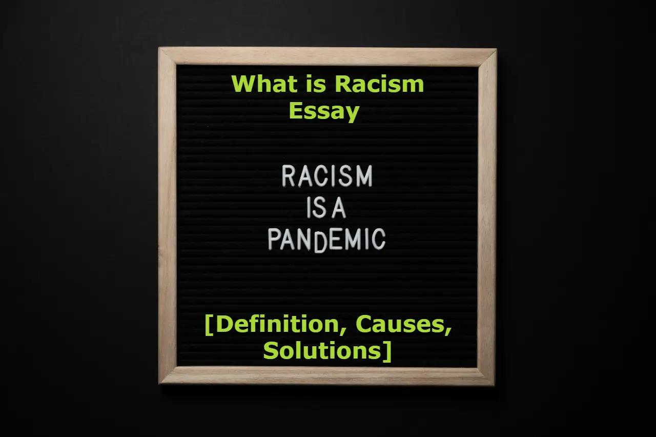 What is Racism Essay