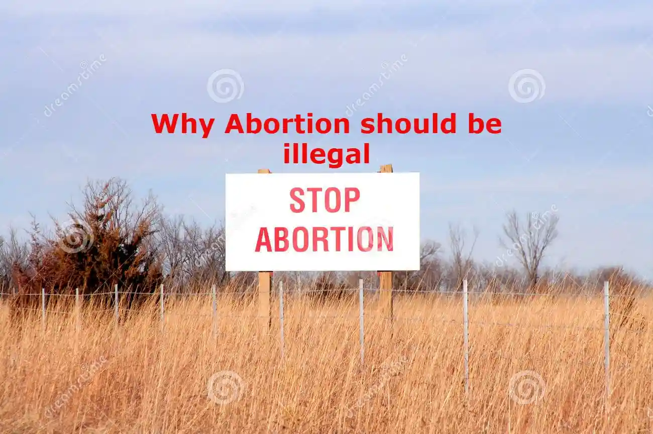 why abortion should be illegal essay
