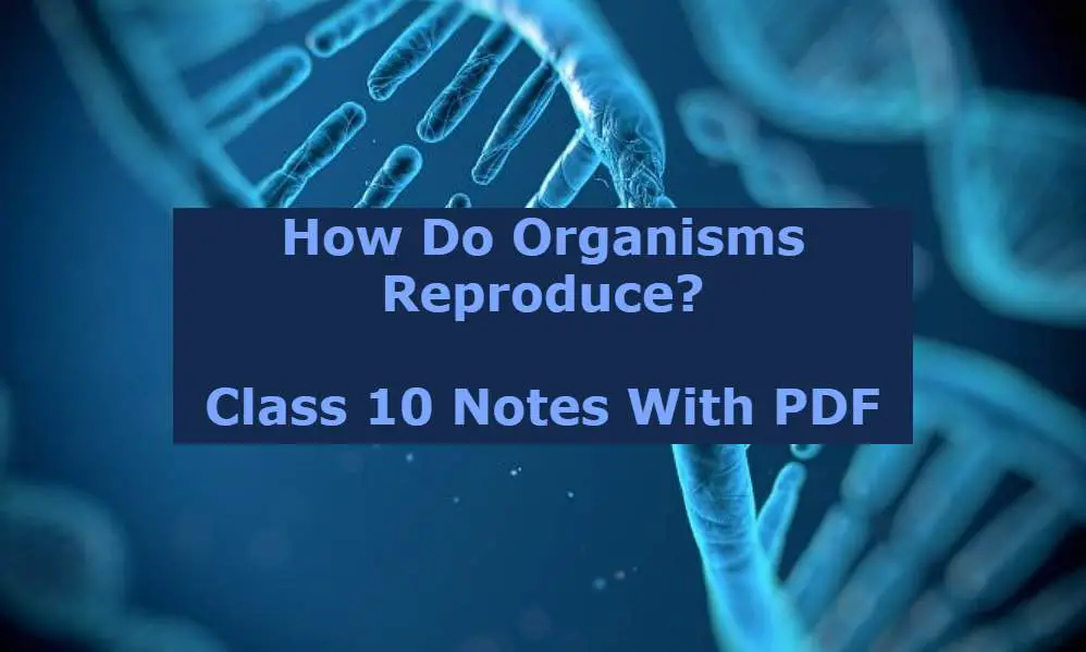 How Do Organisms Reproduce Class 10 Notes