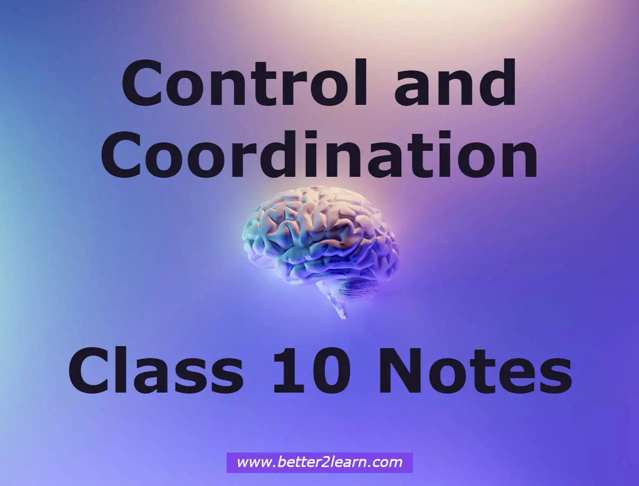 Control and Coordination Class 10 Notes